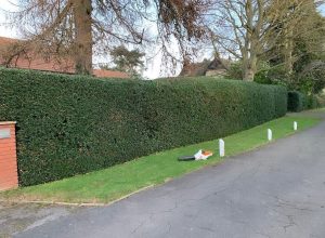image14 image14